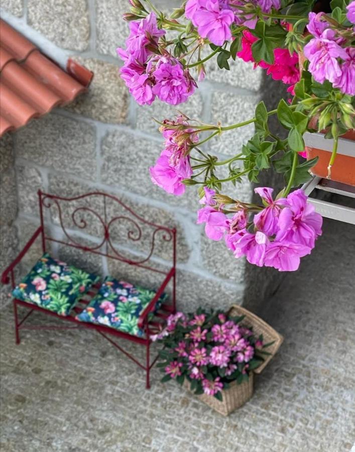 Casa Da Portela - Sem Igual Meinedo Extérieur photo
